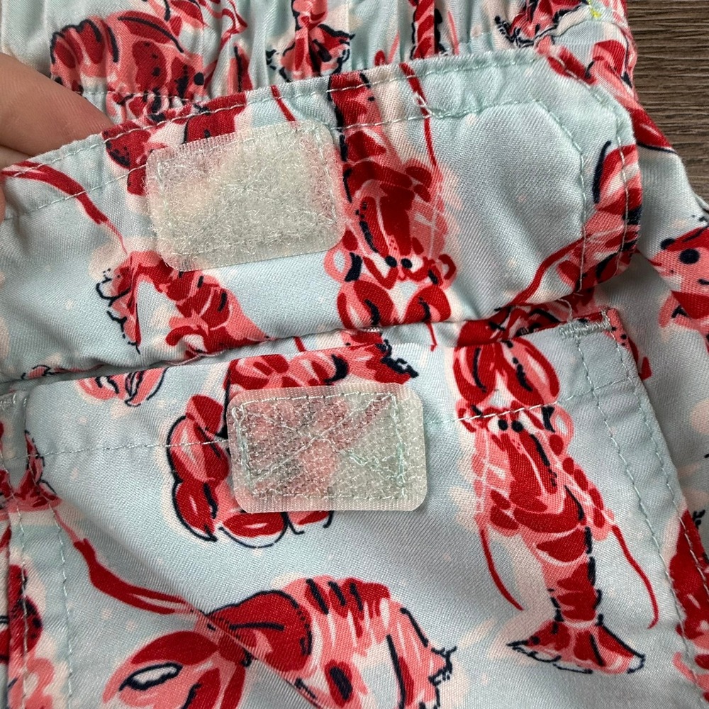 Brooks Brothers Boys Blue Lobster Print Swim Trunks Shorts Size 12 Preppy Summer - Picture 15 of 16